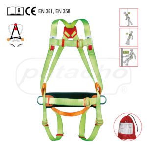 Back/front harness whit positioning/belt
