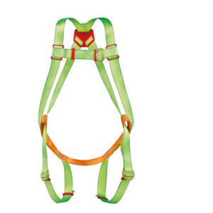 Dorsal anchorage harnesses
